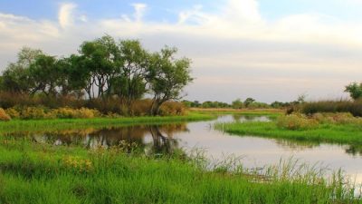 Crearon la Reserva Natural Urbana de Diamante en terrenos del ex Regimiento