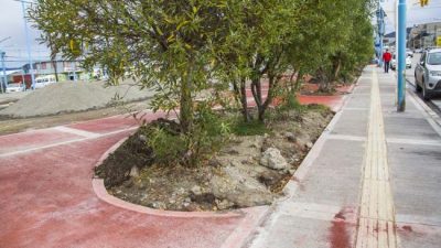 Se llevan construidos más de 1400 metros cuadrados de veredas en Ushuaia