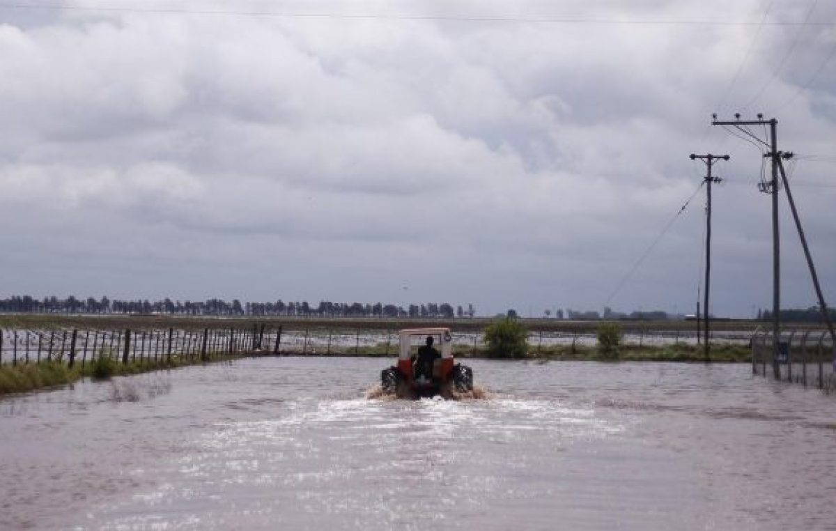 En el sur cordobés, el agua sepulta miles de hectáreas y siguen cerrando tambos