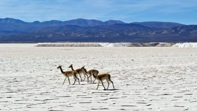 Un desierto blanco en el norte