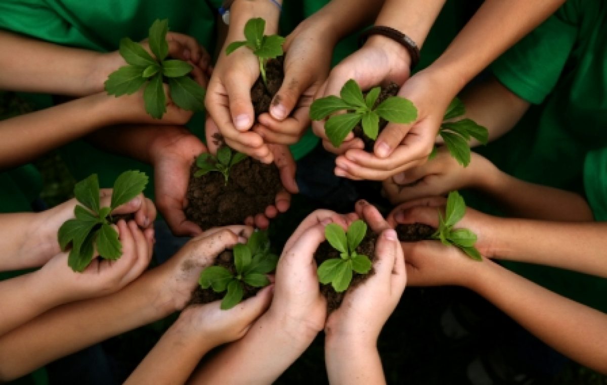 Córdoba reforestará 150.000 hectáreas de bosques para prevenir inundaciones