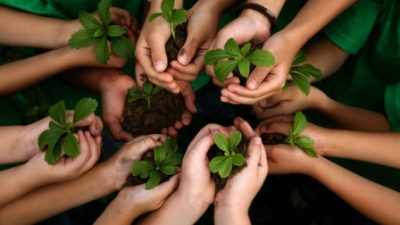 Córdoba reforestará 150.000 hectáreas de bosques para prevenir inundaciones