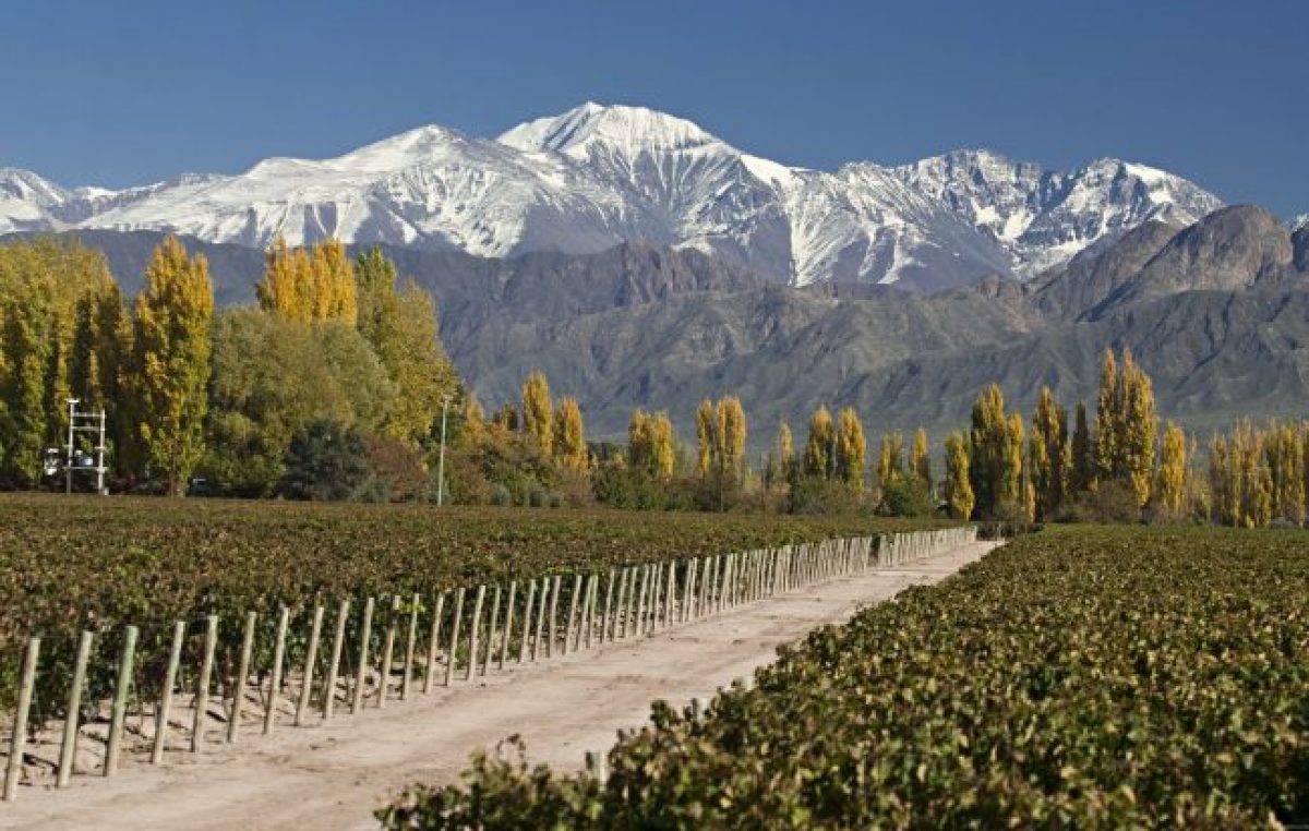 Mendoza es la primera provincia en tener un Plan de Ordenamiento Territorial