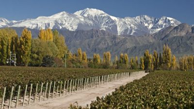 Mendoza es la primera provincia en tener un Plan de Ordenamiento Territorial