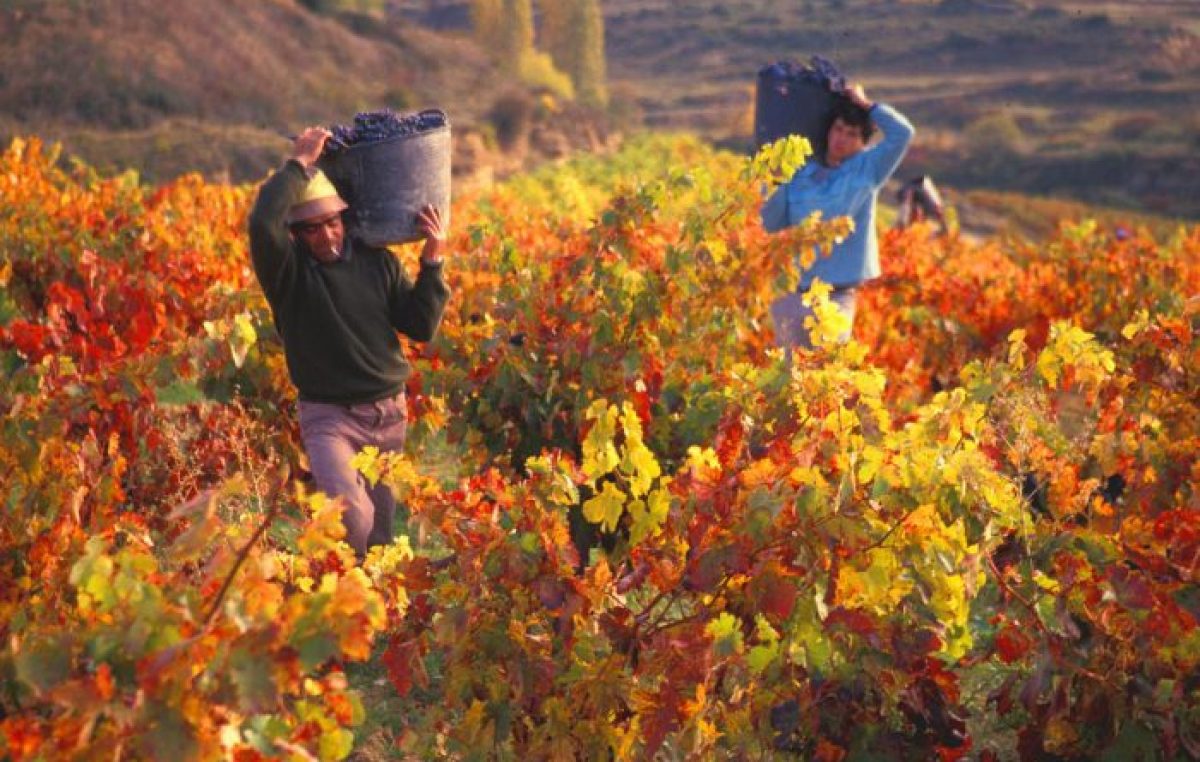 Escapada de otoño a Mendoza