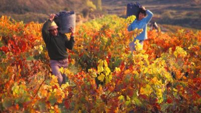 Escapada de otoño a Mendoza
