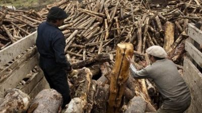 Operativo Leña: ya se invirtieron 29 millones de pesos en el reparto a familias neuquinas sin gas