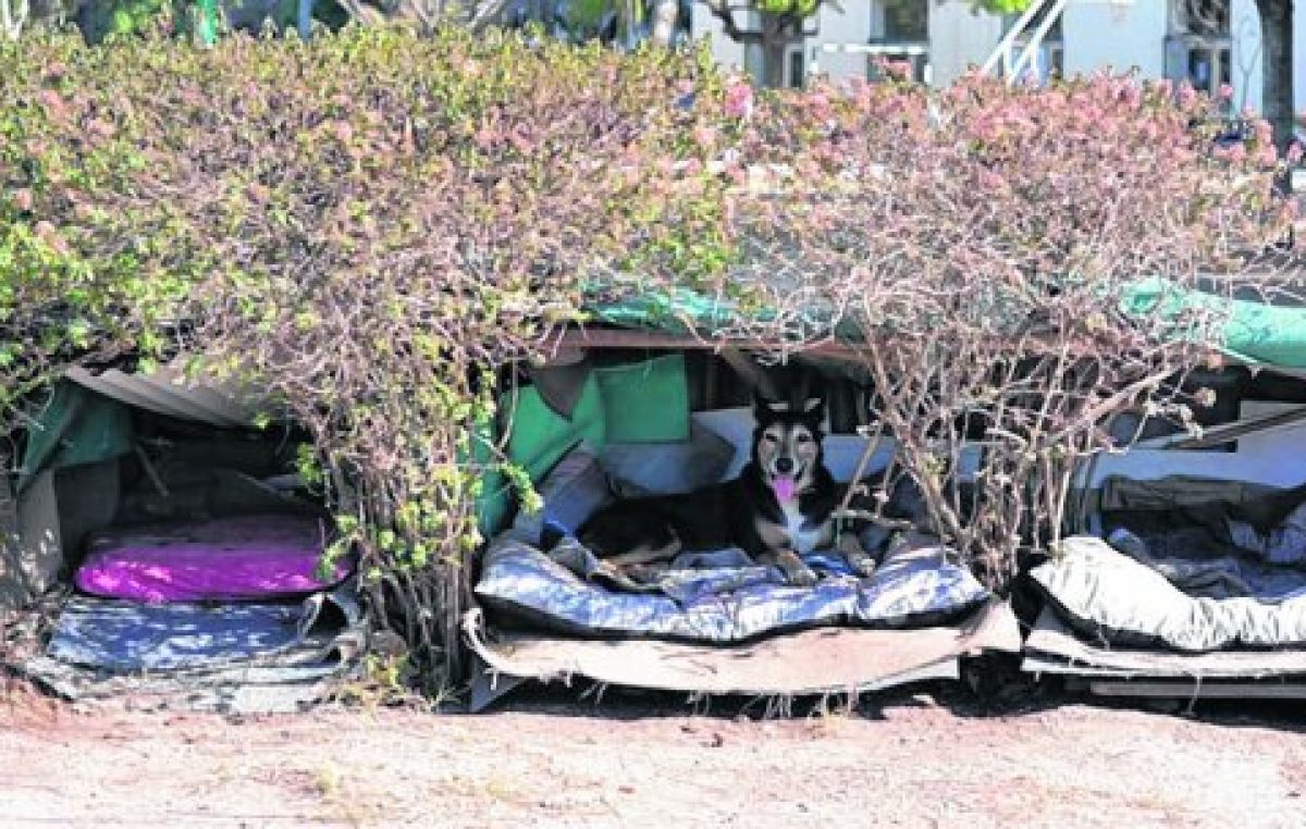 Rosario: «Cucha mía», un plan que avanza a buen ritmo en el Concejo