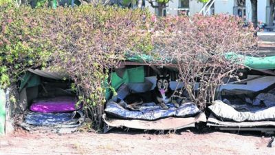 Rosario: «Cucha mía», un plan que avanza a buen ritmo en el Concejo