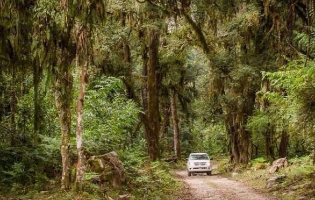 Orán se decidió a ser un destino de excelencia para practicar el ecoturismo