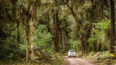 Orán se decidió a ser un destino de excelencia para practicar el ecoturismo