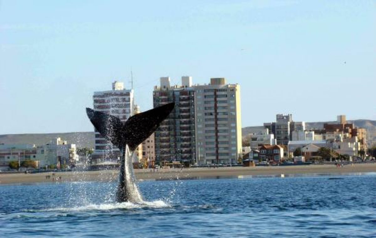 Puerto Madryn es Municipio No Nuclear desde el año 1991