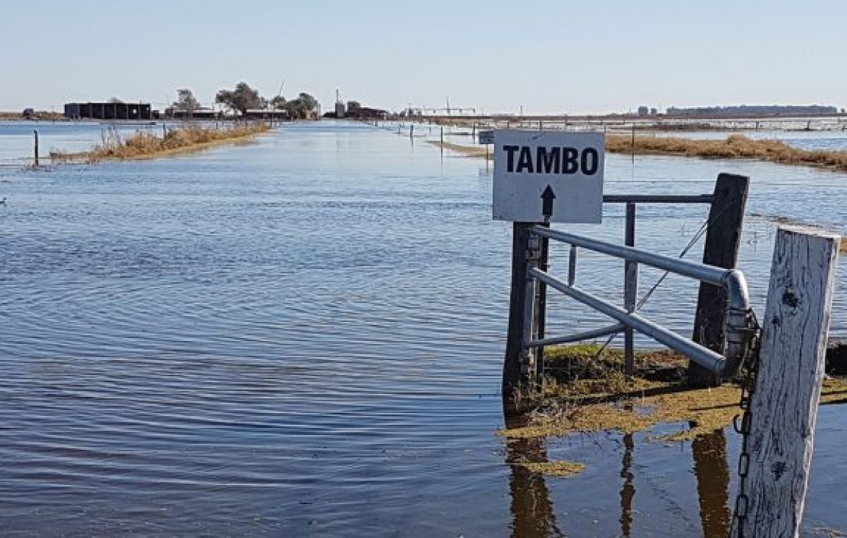 Tambos en ruinas: productores del sur de Córdoba buscan migrar a otras provincias