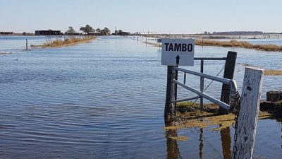 Tambos en ruinas: productores del sur de Córdoba buscan migrar a otras provincias