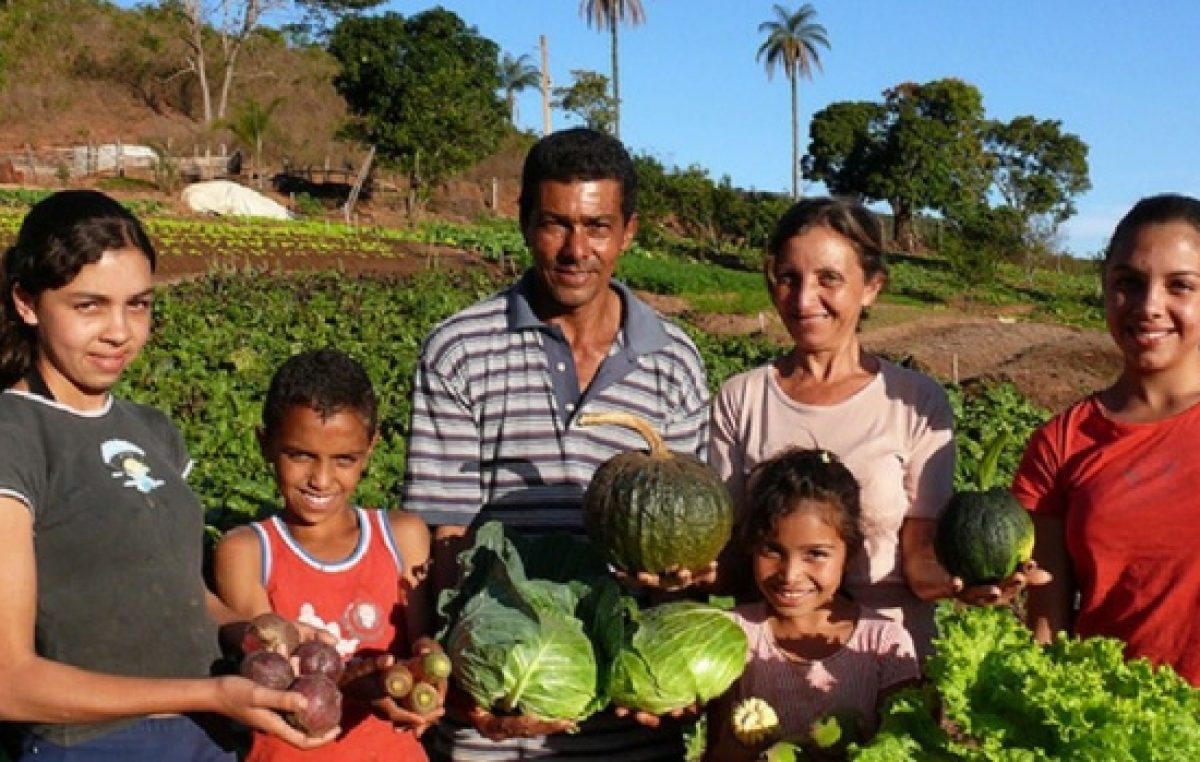 El Gobierno Nacional eliminó la Secretaría de Agricultura Familiar