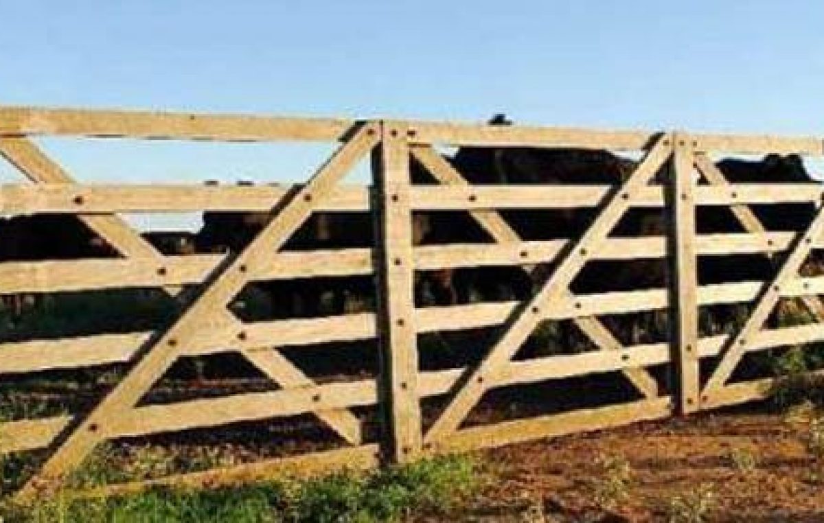Volvieron los remates de campos: tensión y más de cien policías en una subasta en Río Negro