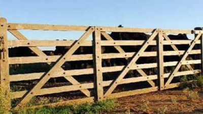 Volvieron los remates de campos: tensión y más de cien policías en una subasta en Río Negro