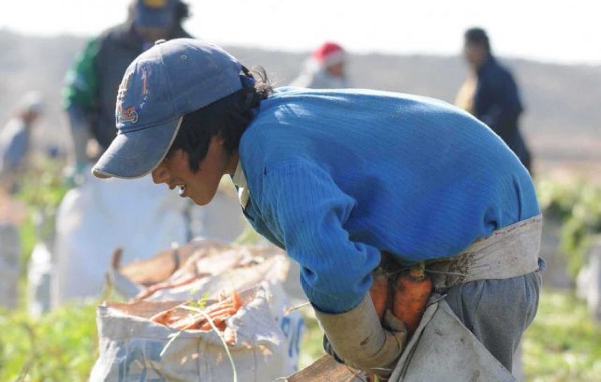 La UCA determinó que un millón de niños de entre 5 y 17 años realiza algún trabajo
