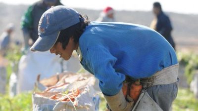 La UCA determinó que un millón de niños de entre 5 y 17 años realiza algún trabajo
