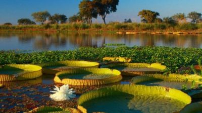 A siete años de su creación, el parque nacional de Santa Fe no puede visitarse