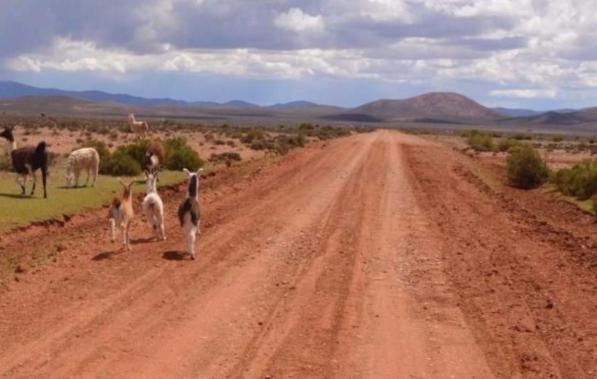 La Quiaca: Nueva reunión binacional por la «Ruta del Bicentenario»