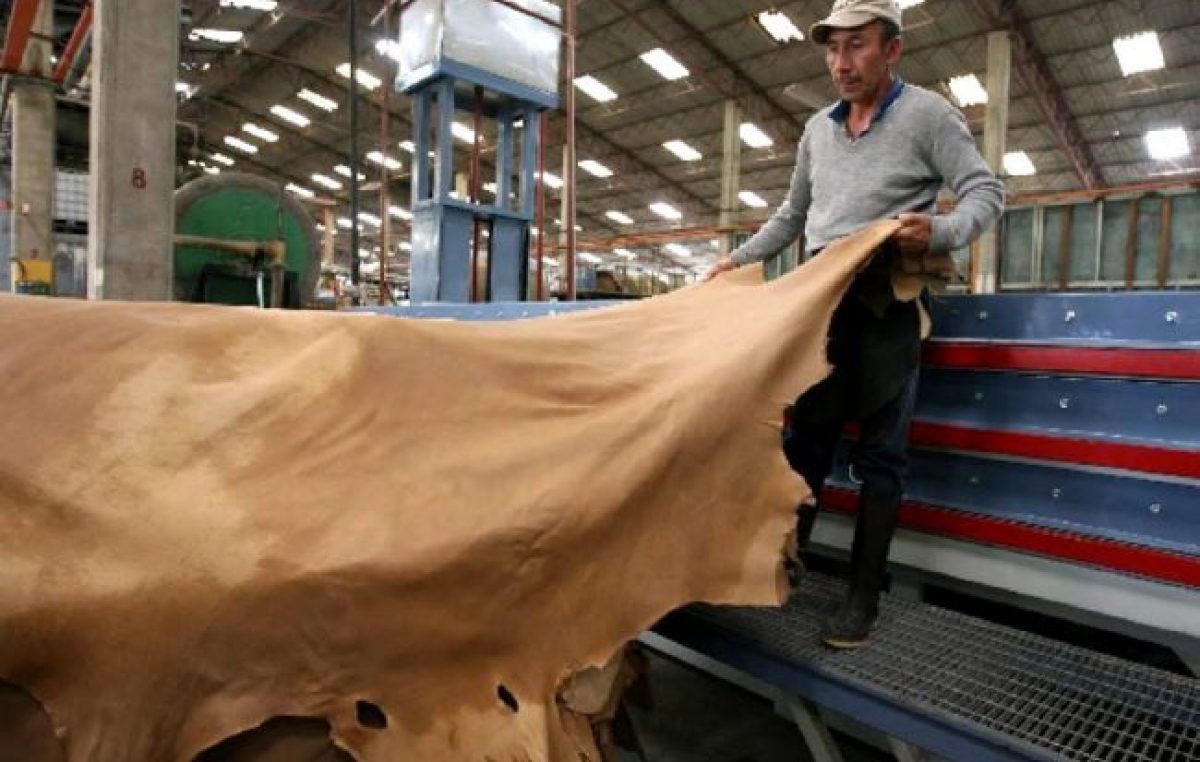 La industria del cuero, curtida