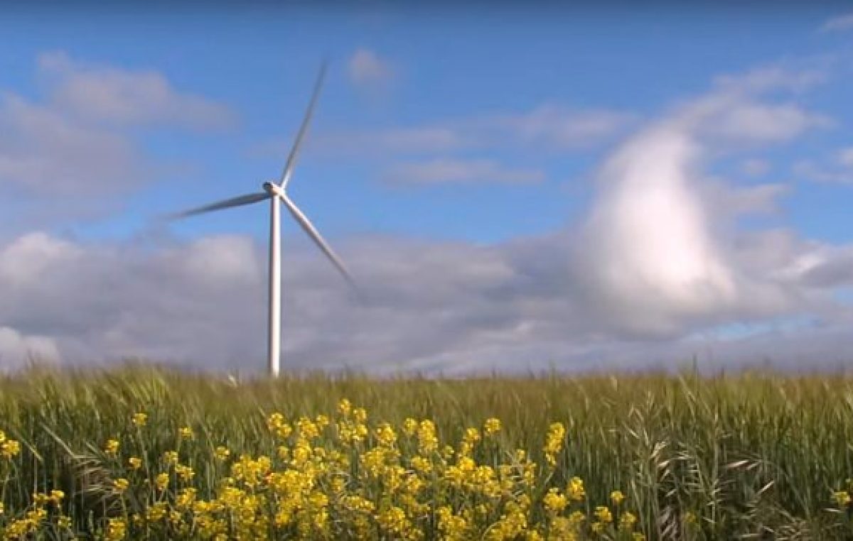 Villarino creó la primera agencia de energías renovables del país