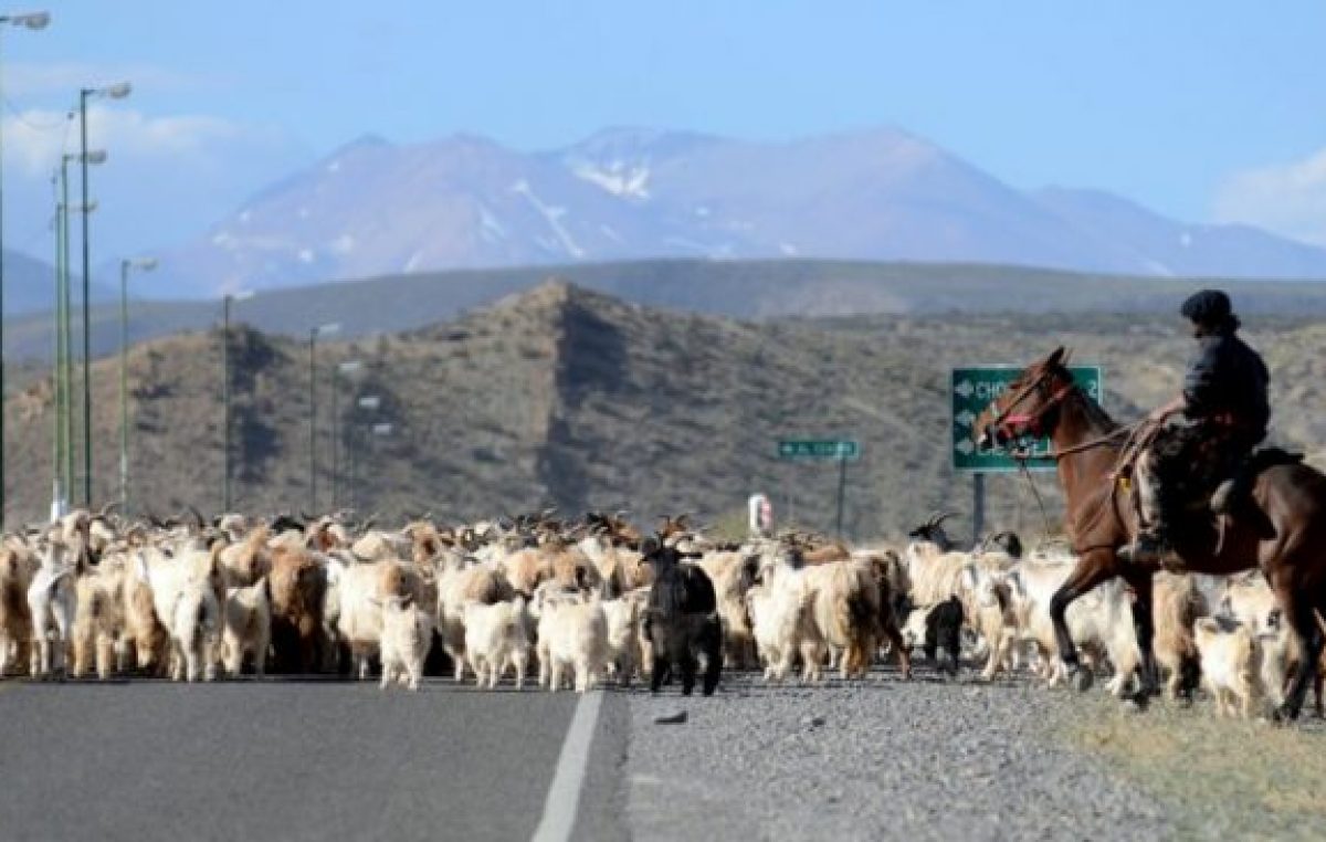 Neuquén: Destinan $3 millones para ayudar a pymes de zonas rurales