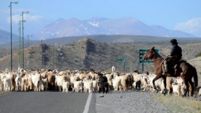 Neuquén: Destinan $3 millones para ayudar a pymes de zonas rurales