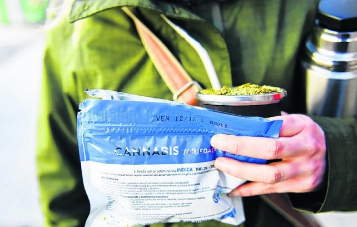 Uruguay es el primer país donde el Estado vende marihuana