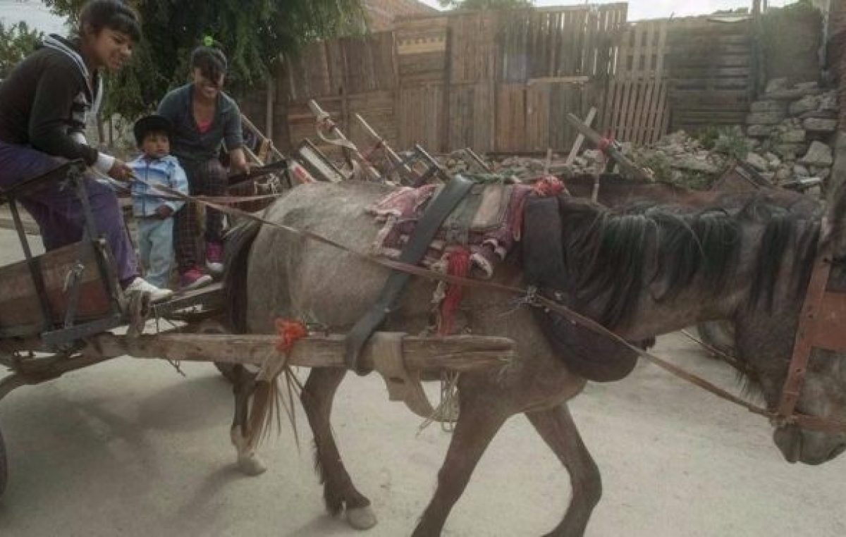 Darán 220 motocargas para que los carreros salteños no usen caballos