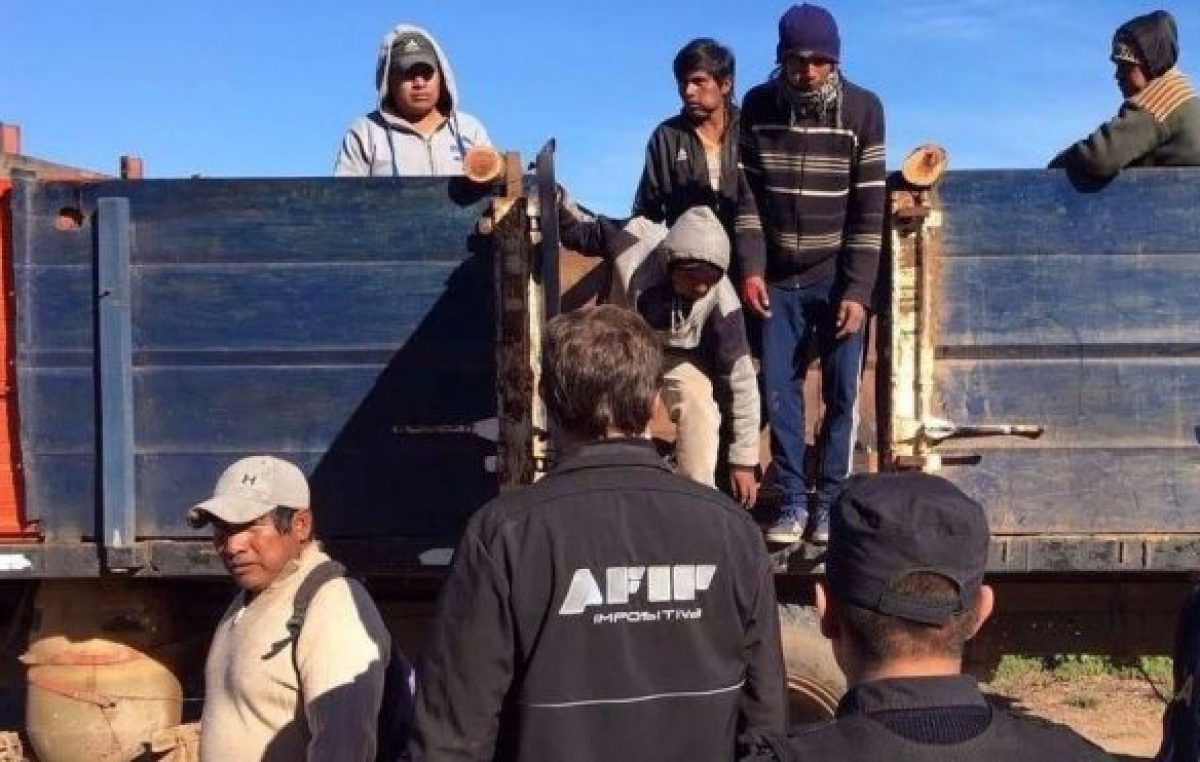 Salta: Juan Manuel Urtubey en la mira por la multiplicación del trabajo esclavo