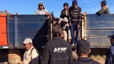 Salta: Juan Manuel Urtubey en la mira por la multiplicación del trabajo esclavo