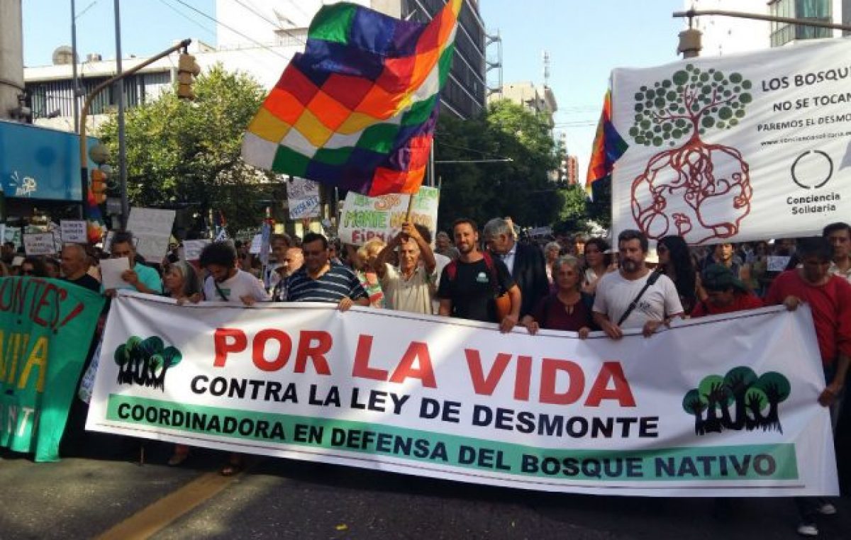 Un mosaico de reclamos por los montes