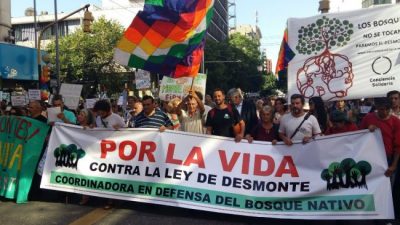 Un mosaico de reclamos por los montes