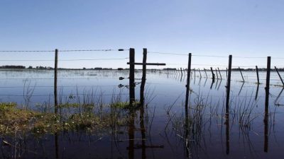 Se profundiza la crisis por las inundaciones en Buenos Aires y esperan nuevas pérdidas millonarias