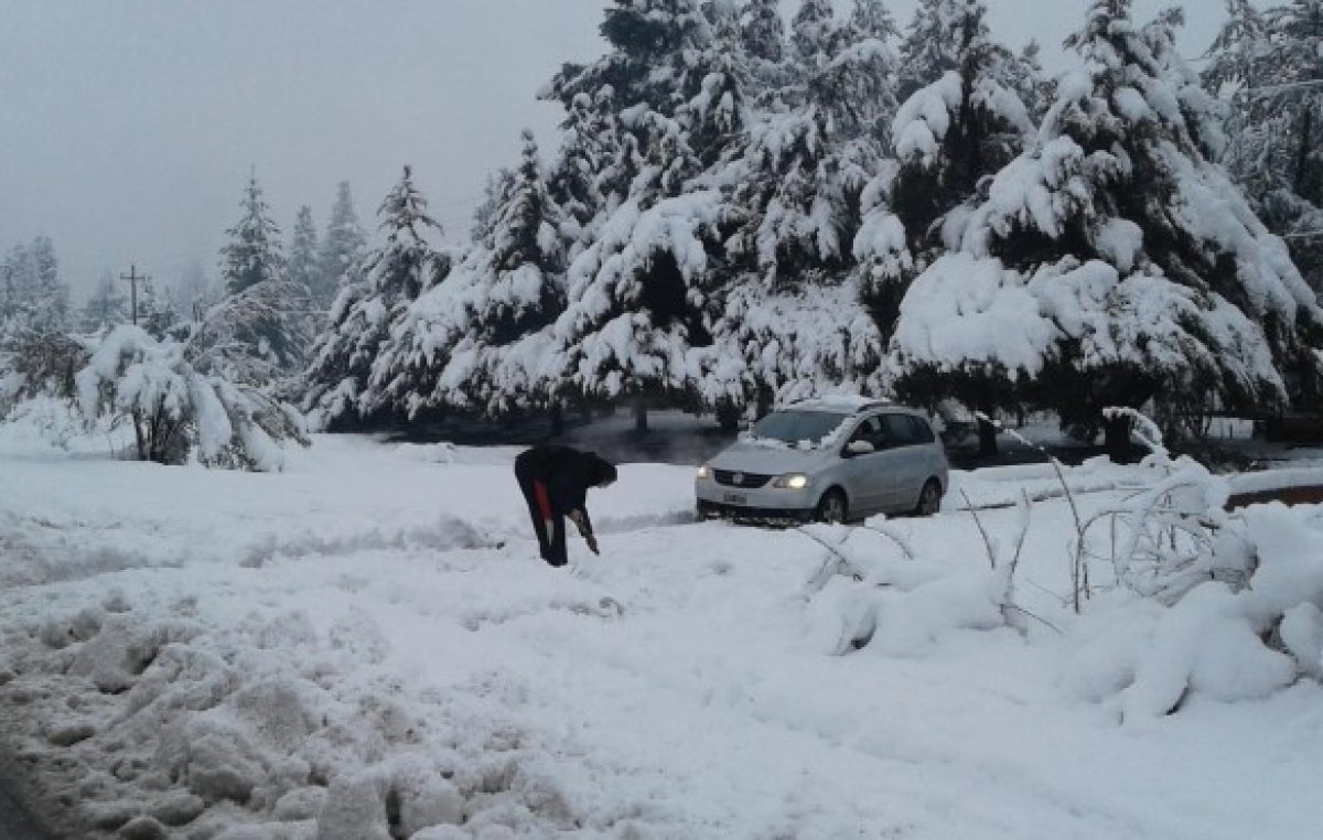 Colonia Suiza no tiene electricidad hace cinco días