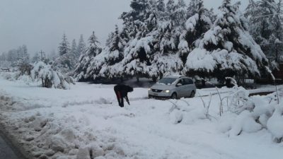 Colonia Suiza no tiene electricidad hace cinco días