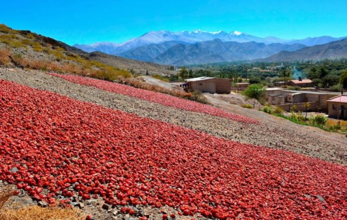 Cachi: Parajes rurales tienen beneficios