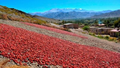 Cachi: Parajes rurales tienen beneficios