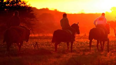 El turismo rural, una de las opciones para vacacionar en Entre Ríos