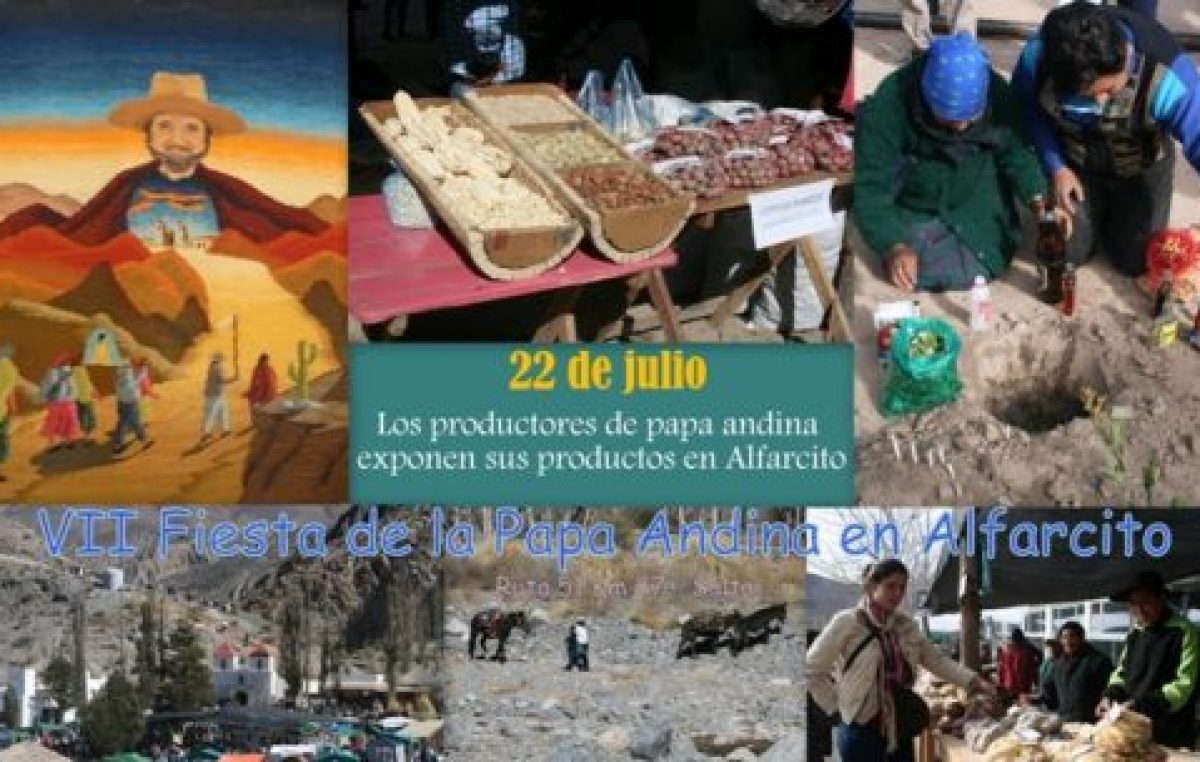Fiesta de la Papa Andina en Alfarcito, 22 de julio