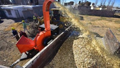 El reciclado se convirtió en una política de estado en Junín
