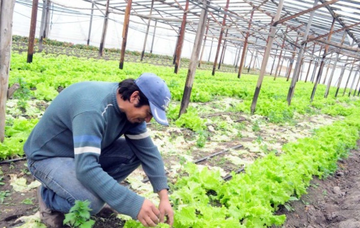 Río Colorado y el desafío de producir con valor agregado