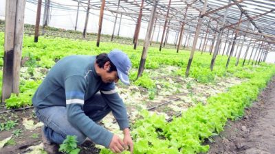 Río Colorado y el desafío de producir con valor agregado