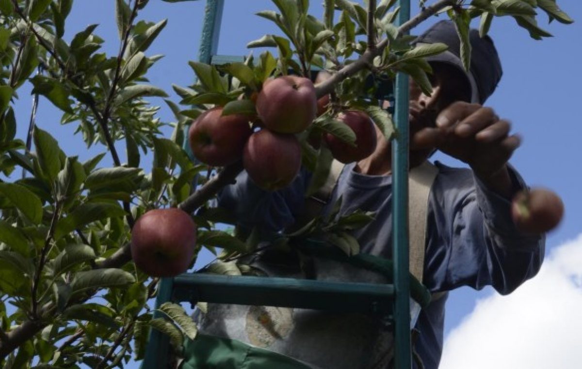 Río Negro: Nación criticó al sector frutícola y recibió duras respuestas