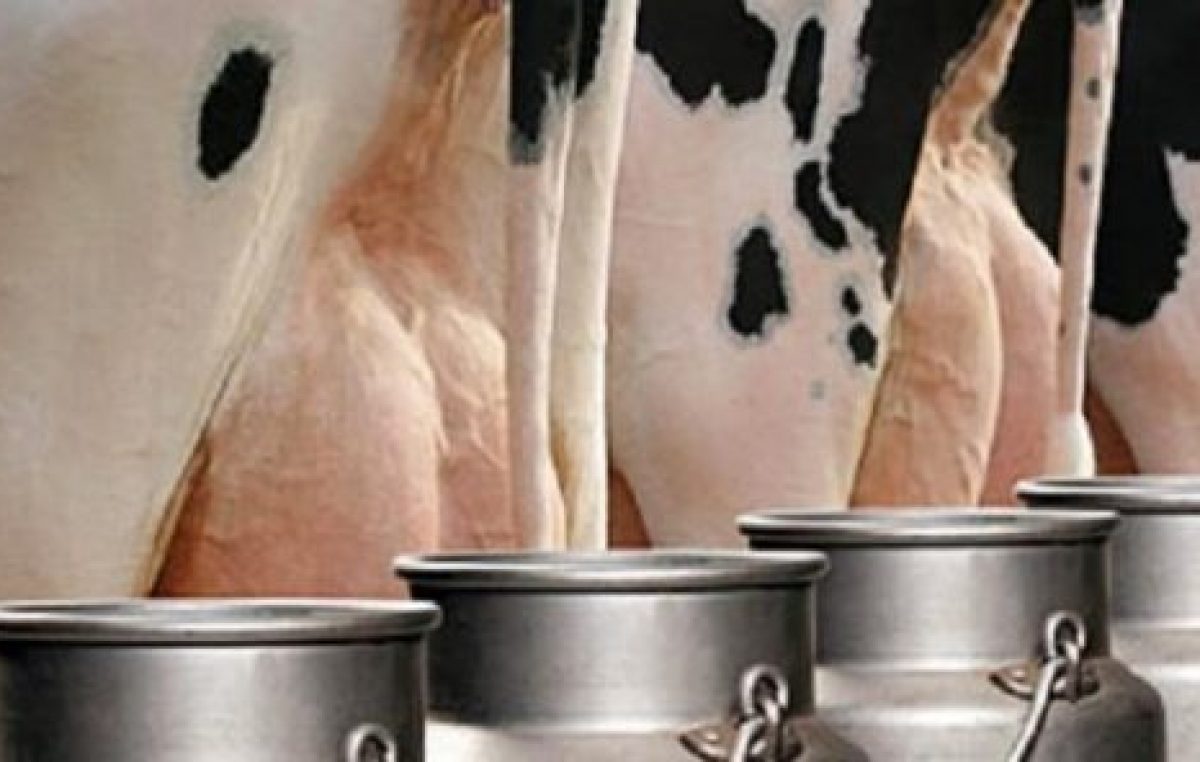 Argentina es el segundo país con la leche más cara del mundo