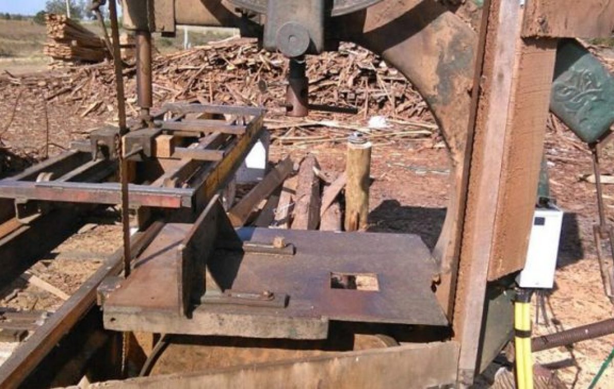 Advierten que es crítica la situación de la industria forestal entrerriana