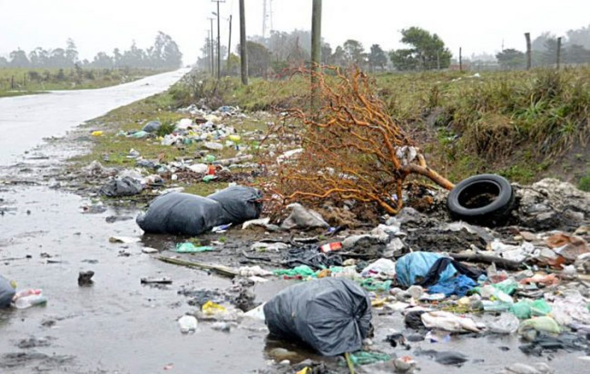 Mar del Plata, repleta de basura y otra vez con un predio colapsado