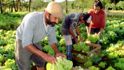 Agricultura familiar: Reducen el presupuesto y cae la actividad de los productores